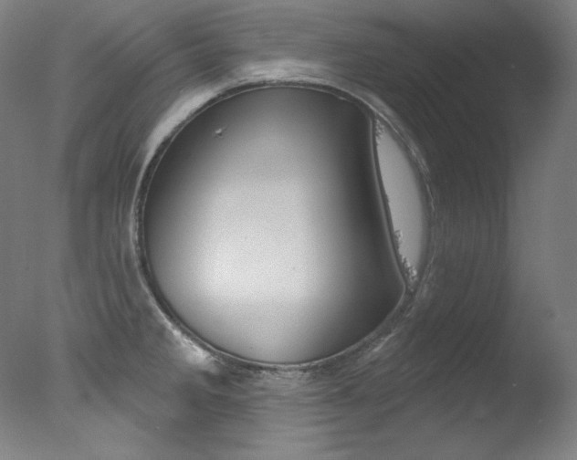 X0000078031285200610271032