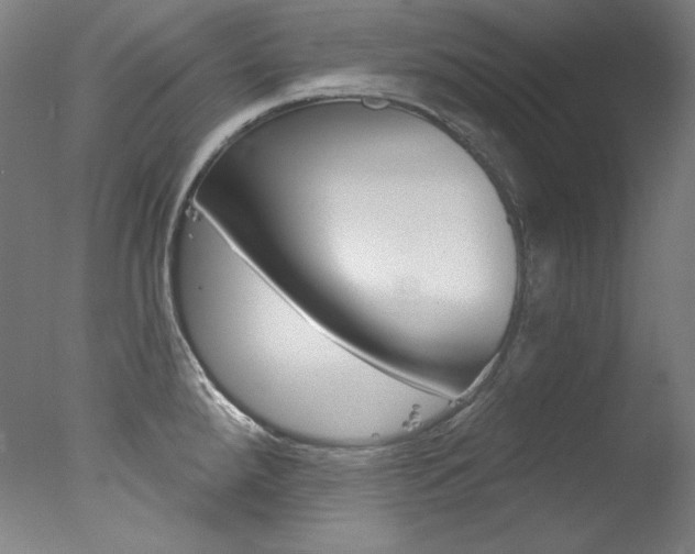 X0000078031288200610271032