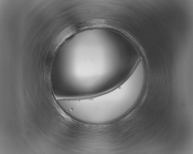 X0000078031289200610271032
