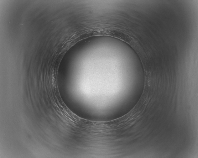 X0000078031298200610271031