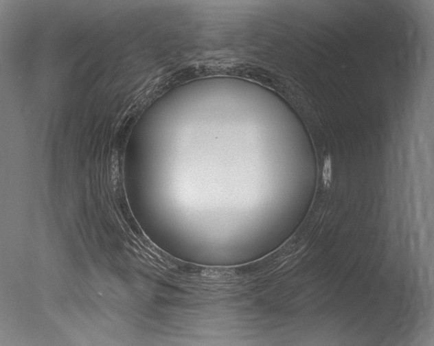 X0000078031299200610271031