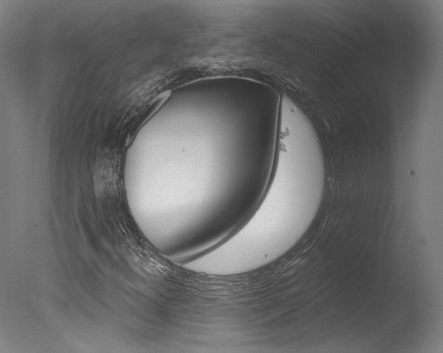 X0000078031300200610271031