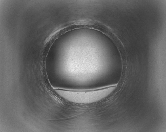 X0000078031304200610271032