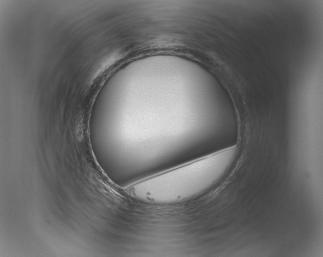 X0000078031306200610271032