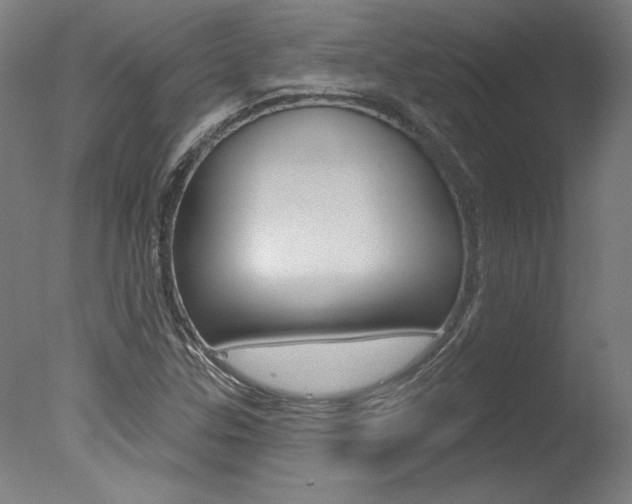 X0000078031307200610271032