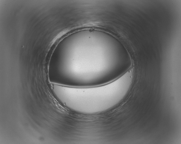 X0000078031308200610271032