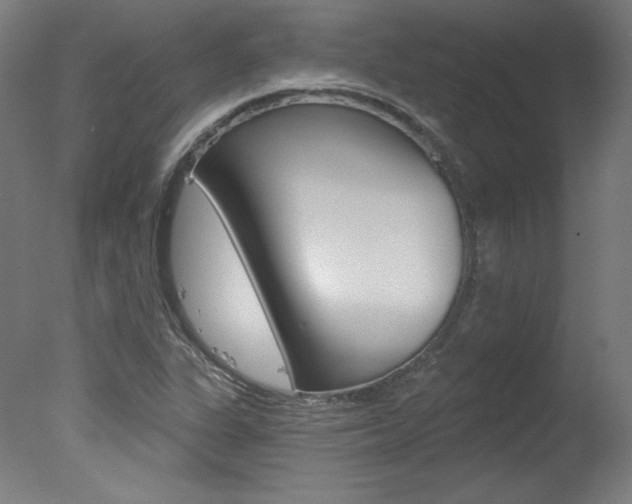 X0000078031311200610271032