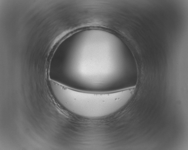 X0000078031316200610271032