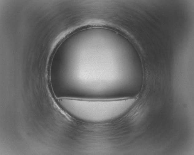 X0000078031327200610271032