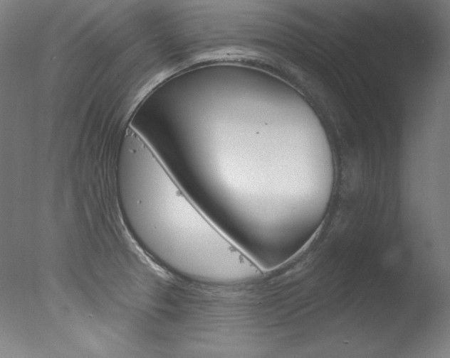 X0000078031329200610271032