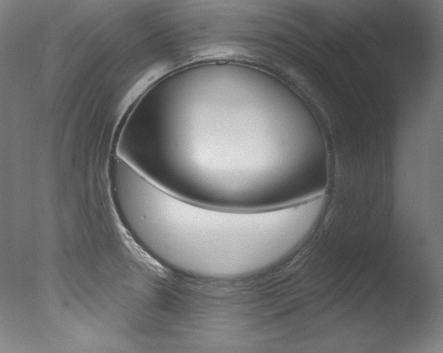 X0000078031330200610271032