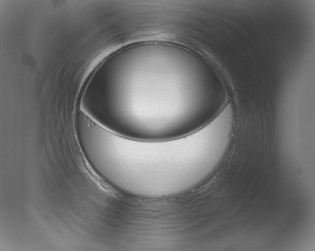 X0000078031332200610271032