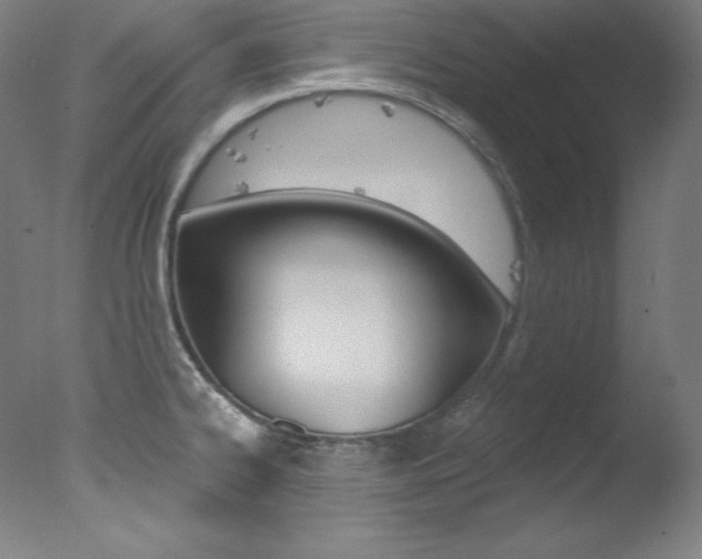 X0000078031334200610271032