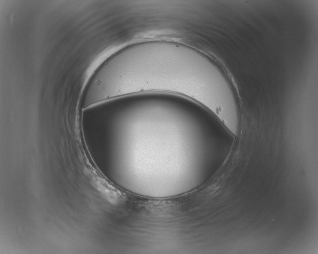 X0000078031336200610271032