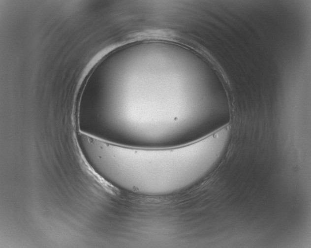 X0000078031339200610271032