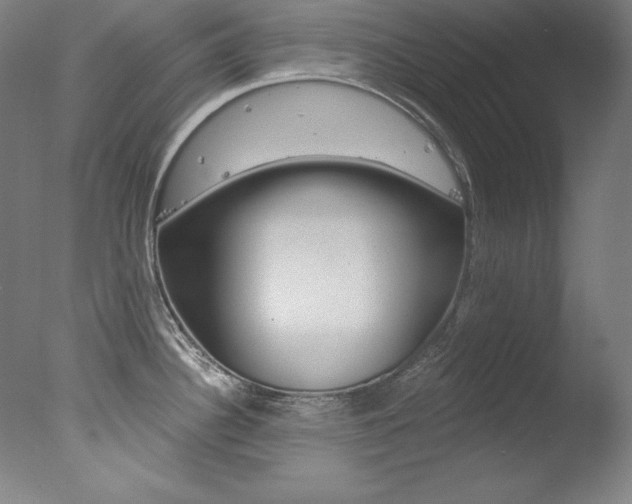 X0000078031340200610271032