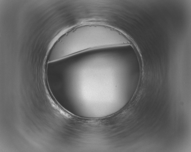X0000078031341200610271032