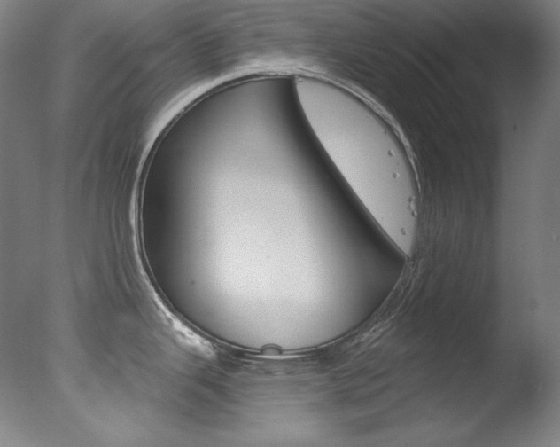 X0000078031343200610271032