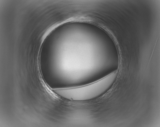 X0000078031344200610271032