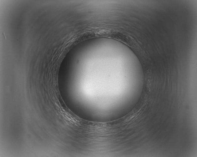 X0000078031345200610271031