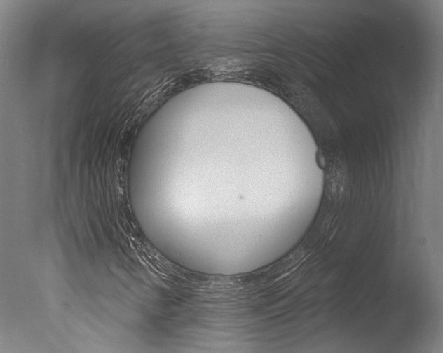 X0000078031346200610271031