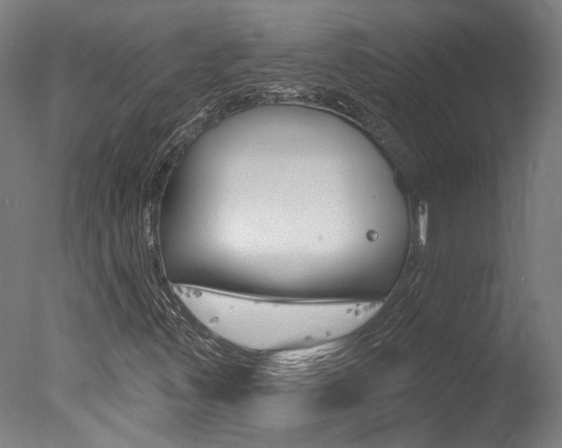 X0000078031347200610271031