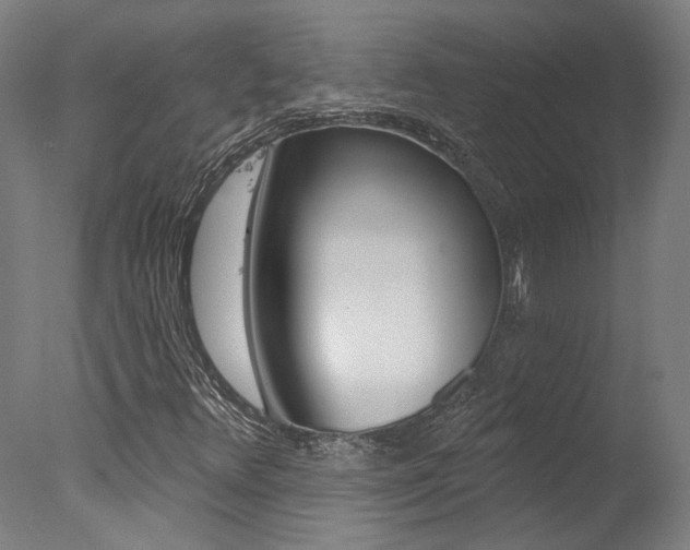 X0000078031348200610271031