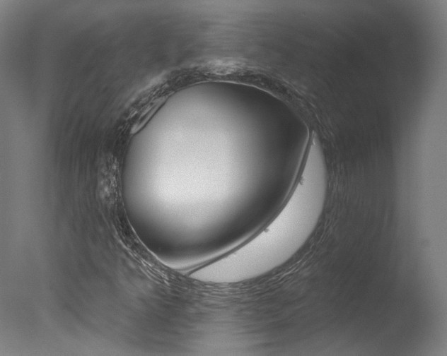 X0000078031349200610271031