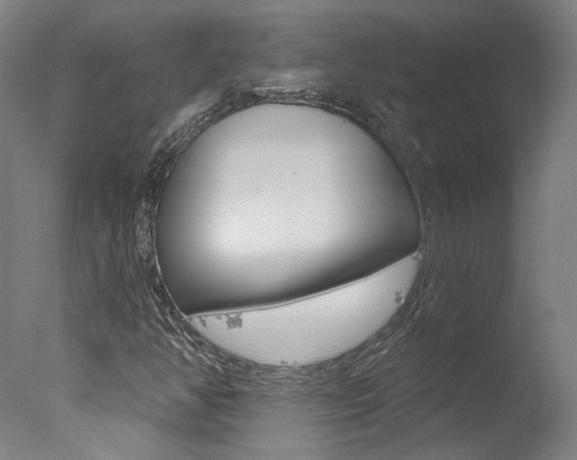 X0000078031350200610271031