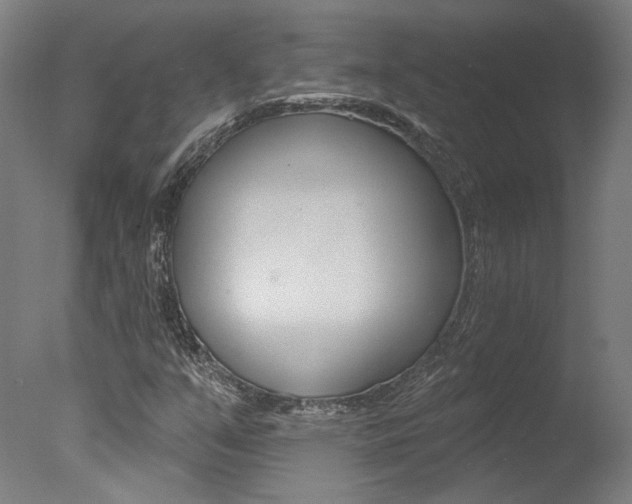 X0000078031351200610271031