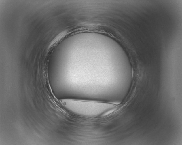 X0000078031354200610271031