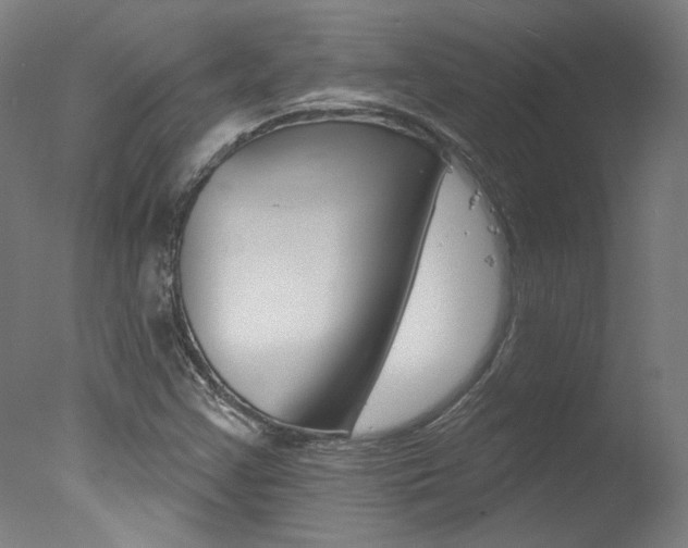 X0000078031355200610271031