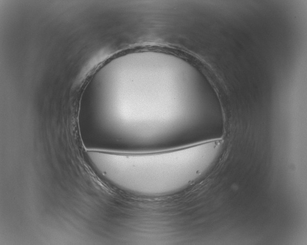 X0000078031359200610271031