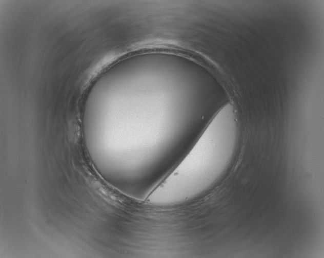 X0000078031363200610271031