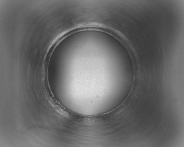 X0000078031364200610271031