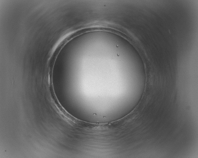 X0000078031368200610271031