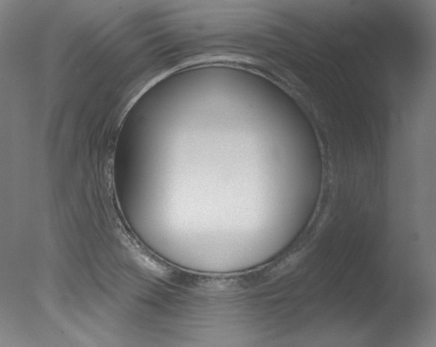 X0000078031369200610271031