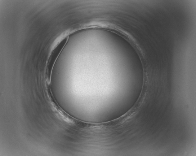 X0000078031373200610271031