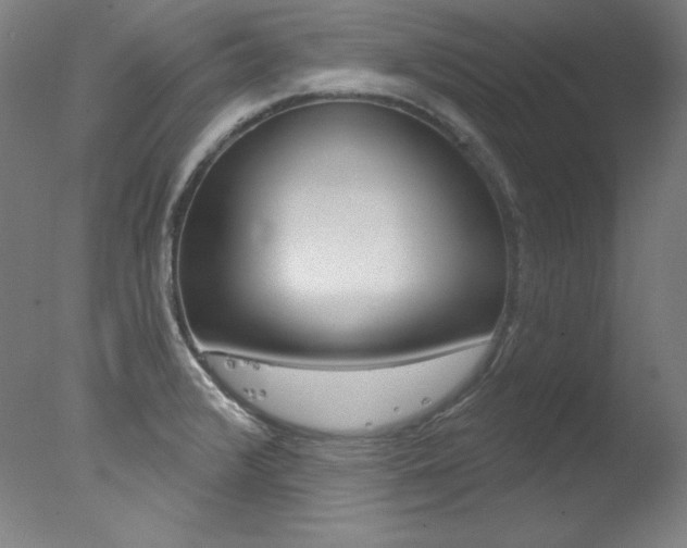 X0000078031376200610271031