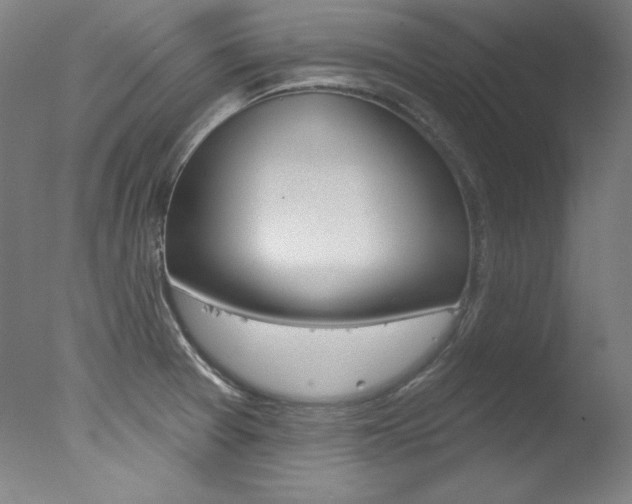 X0000078031377200610271031