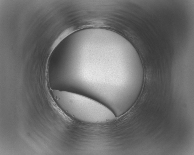 X0000078031378200610271031