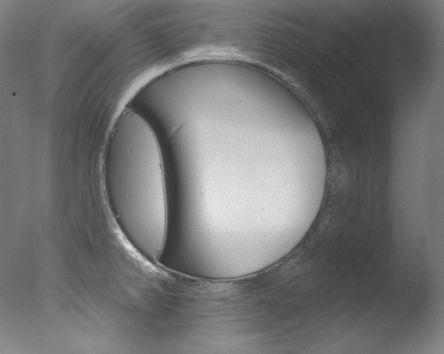 X0000078031382200610271031