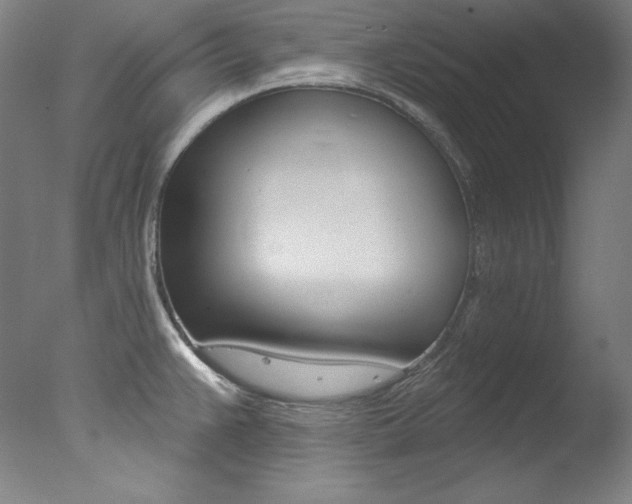 X0000078031383200610271031