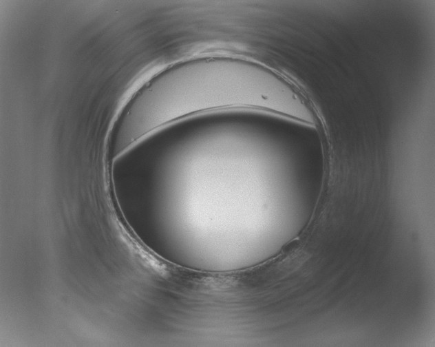 X0000078031384200610271031