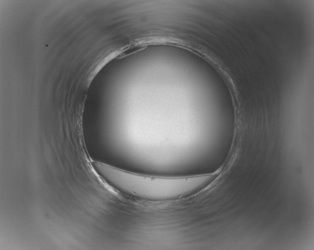 X0000078031385200610271031