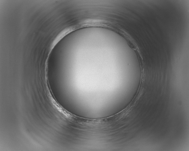 X0000078031386200610271031