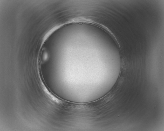 X0000078031387200610271031