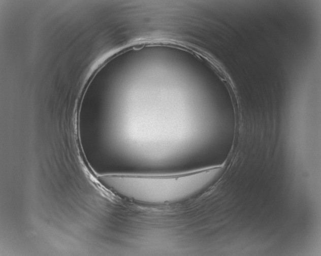X0000078031388200610271031