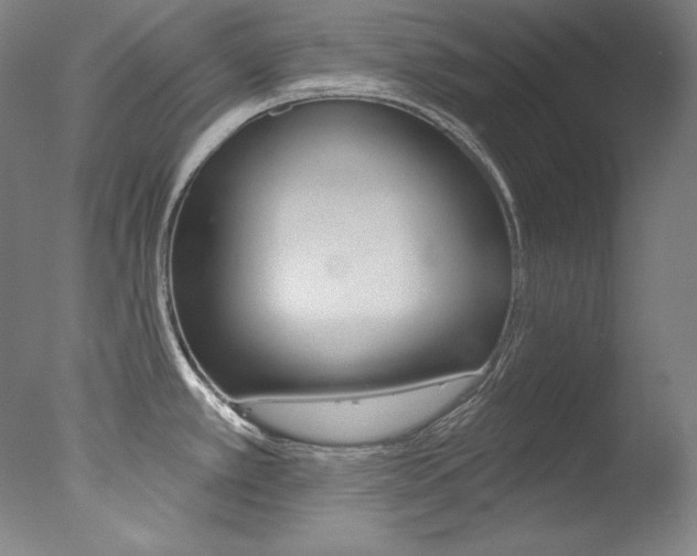 X0000078031389200610271031