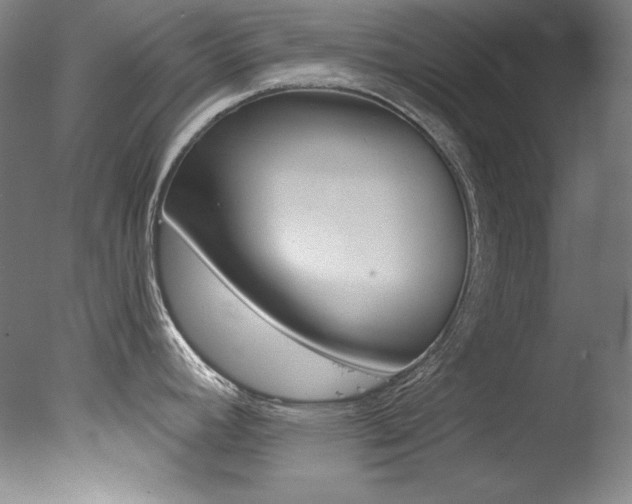 X0000078031392200610271031